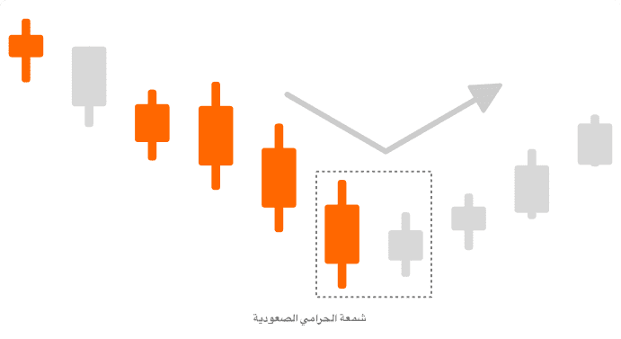 شمعة هارمي