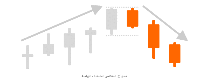 نموذج انعكاس الخطاف